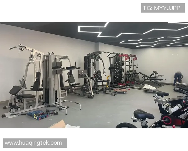 高端健身器材助力健康生活提升运动体验与效果的完美选择 高端健身器材助力健康生活提升运动体验与效果的完美选择