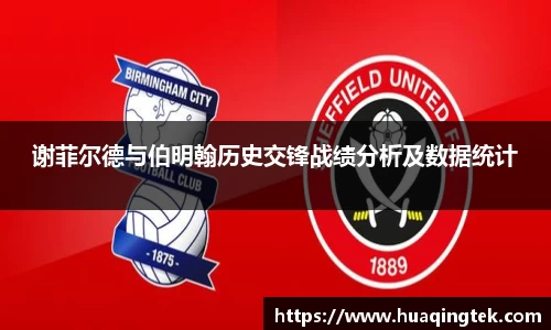 谢菲尔德与伯明翰历史交锋战绩分析及数据统计